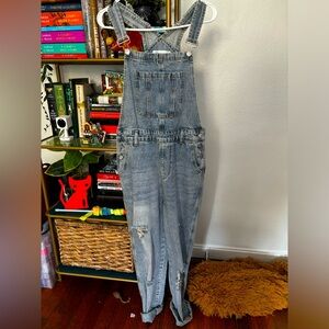 Vici denim overalls